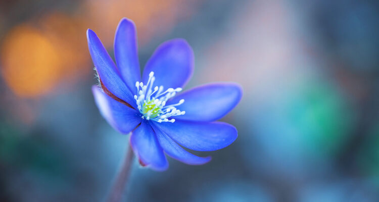 Calendrier lunaire du 20 avril 2022