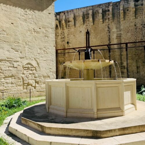 Jardin du Pape - Fontaine du Griffon Jardins du Palais des Papes - Avignon