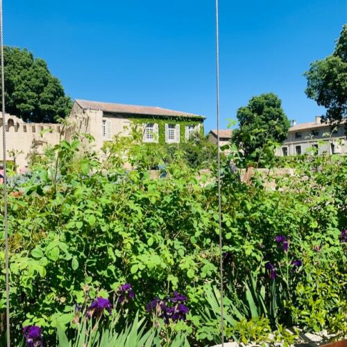 Jardin du Palais - Palais des Papes Jardins du Palais des Papes - Avignon