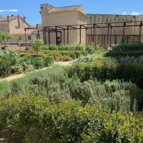 Jardin du Palais - Palais des Papes Jardins du Palais des Papes - Avignon