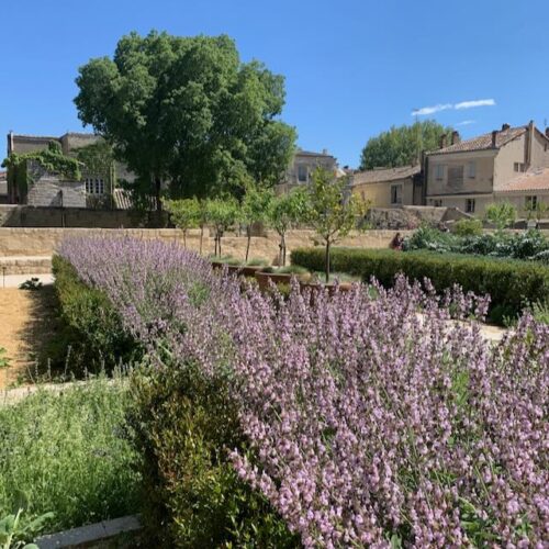 Jardin du Palais - Palais des Papes Jardins du Palais des Papes - Avignon