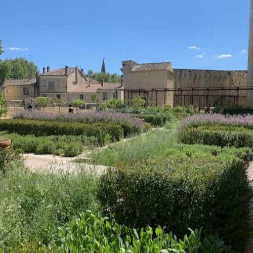 Jardin du Palais - Palais des Papes Jardins du Palais des Papes - Avignon