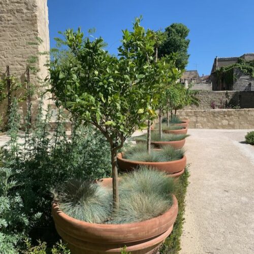 Jardin du Palais - Palais des Papes Jardins du Palais des Papes - Avignon