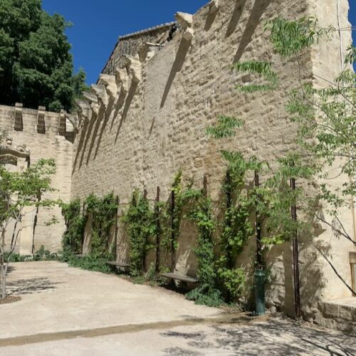 Jardin du Palais - Palais des Papes Jardins du Palais des Papes - Avignon