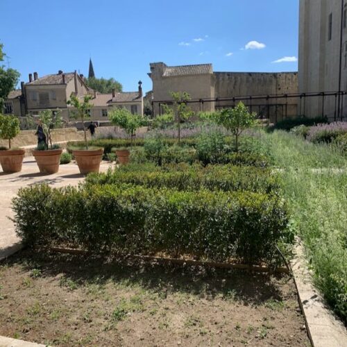 Jardin du Palais - Palais des Papes Jardin du Palais - Palais des Papes