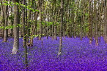 calendrier lunaire du 28 avril 2022