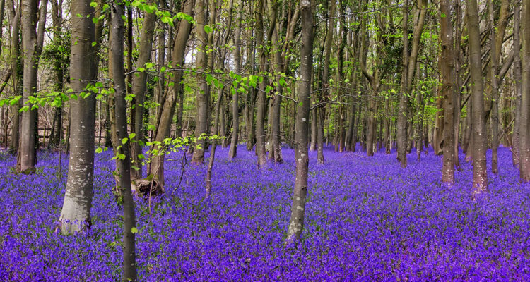 calendrier lunaire du 28 avril 2022