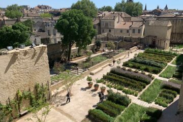 Jardins du Palais des Papes