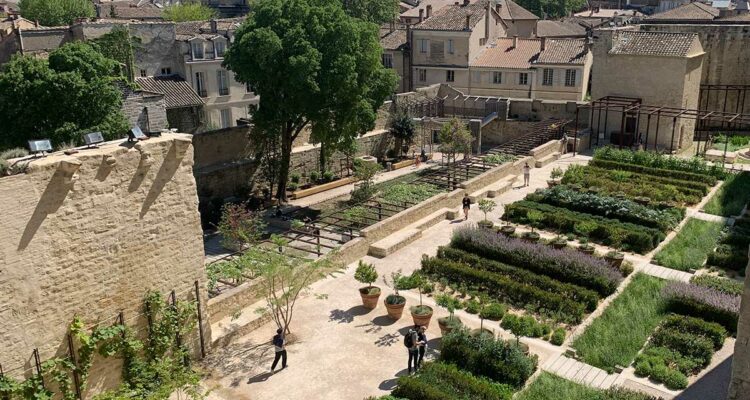 Jardins du Palais des Papes