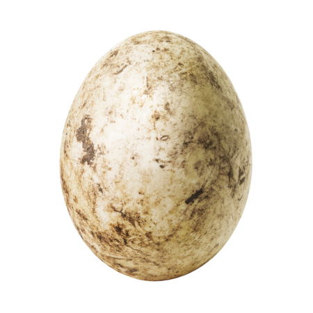 Oeuf de canard sale - Chinnasorn Pangcharoen -Edit oeuf de canard