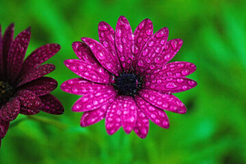 calendrier lunaire du 17 avril 2022