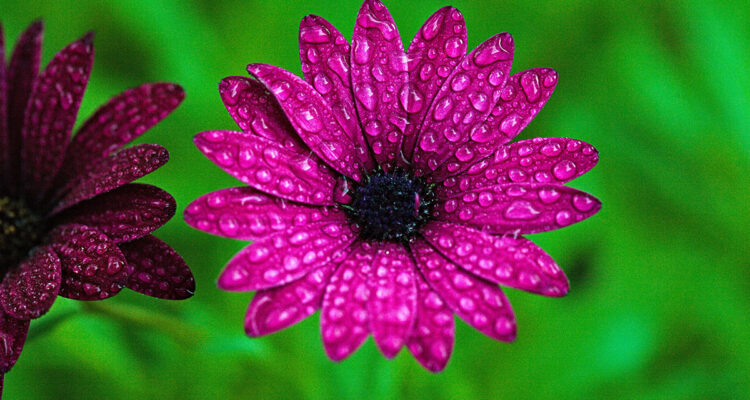 calendrier lunaire du 17 avril 2022