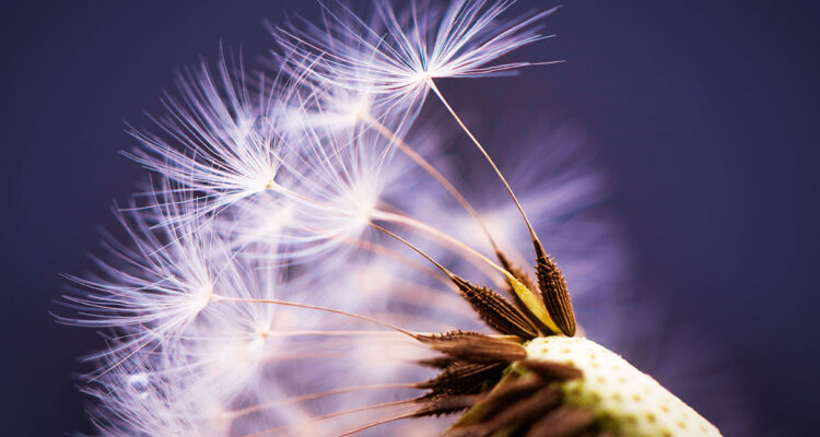 Calendrier lunaire du 10 avril