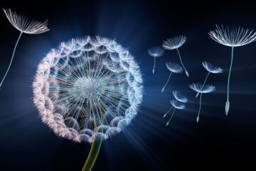 Calendrier lunaire du 25 mai 2022