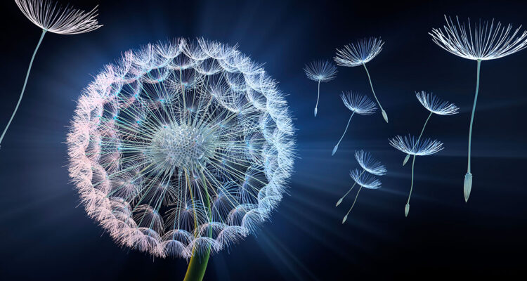 Calendrier lunaire du 25 mai 2022