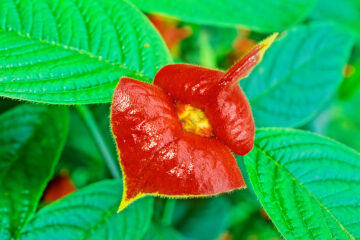 calendrier lunaire du 27 avril 2022