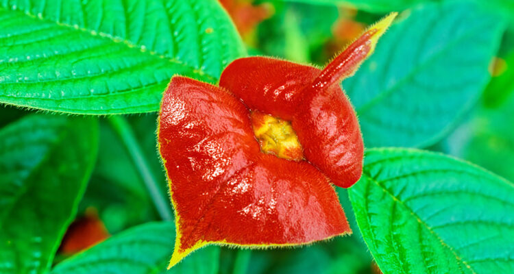 calendrier lunaire du 27 avril 2022