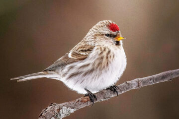 Calendrier lunaire du 14 avril 2022