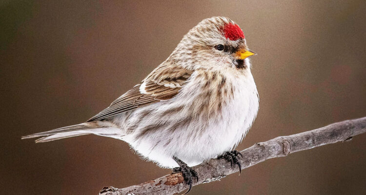 Calendrier lunaire du 14 avril 2022