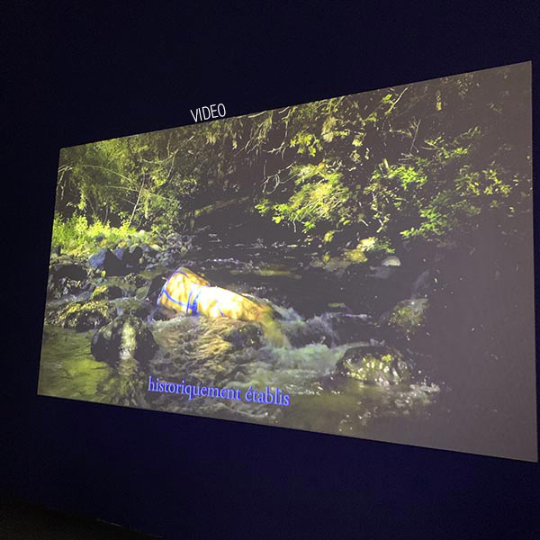 Sébastian Calfuqueo - Kowkülen - 2020 ©Isabelle Vauconsant Sébastian Calfuqueo - le genre et l'eau