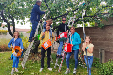Aux arbres citoyens !