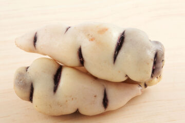 La capucine tubéreuse