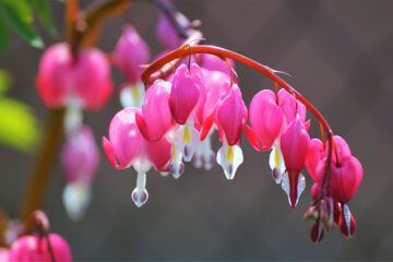 calendrier lunaire du 2 mai 2022
