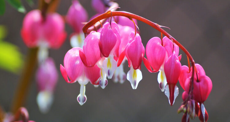 calendrier lunaire du 2 mai 2022