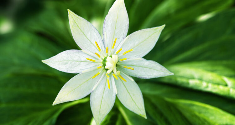 calendrier lunaire du 21 mai