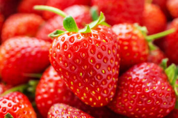 calendrier du 25 mai 2022