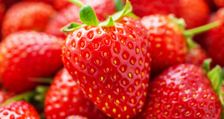 calendrier du 25 mai 2022