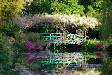 Jardin d'eau de Giverny