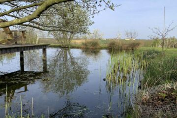 Le jardin de campagne de Philippe Gruel