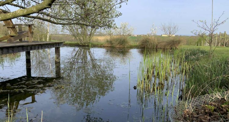 Le jardin de campagne de Philippe Gruel