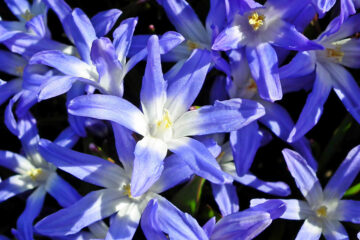 Calendrier lunaire du 17 mai 2022