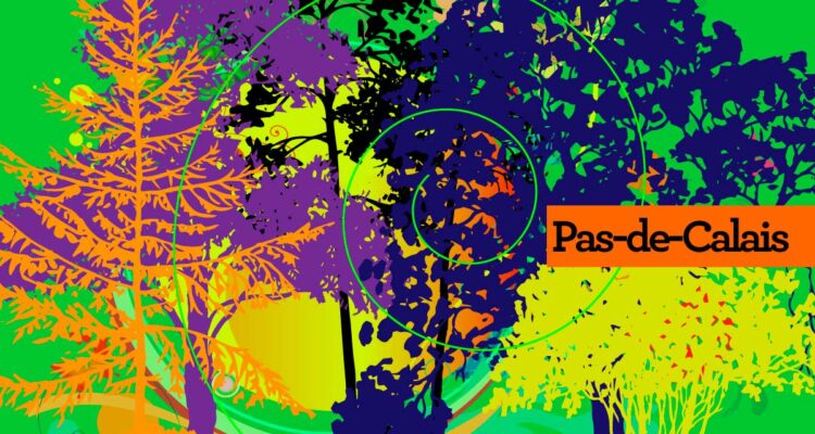 Agroforesterie dans le Pas-ce-Calais