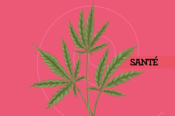 cannabis - CBD - bien-être