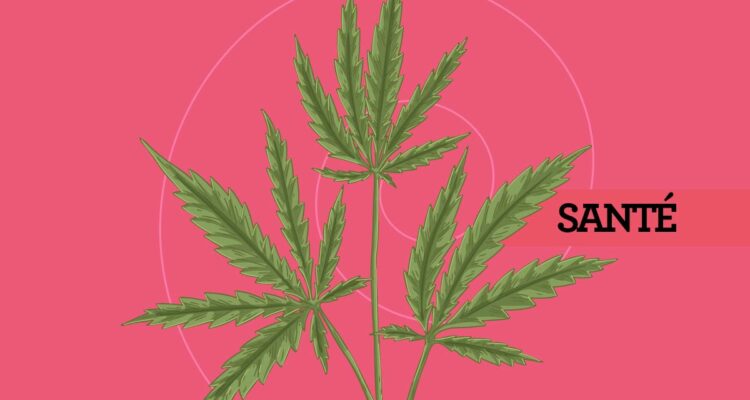 cannabis - CBD - bien-être