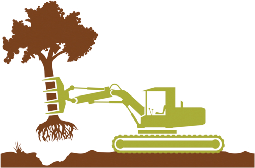 arbre deracine - anton_novik -Edit arbre déraciné