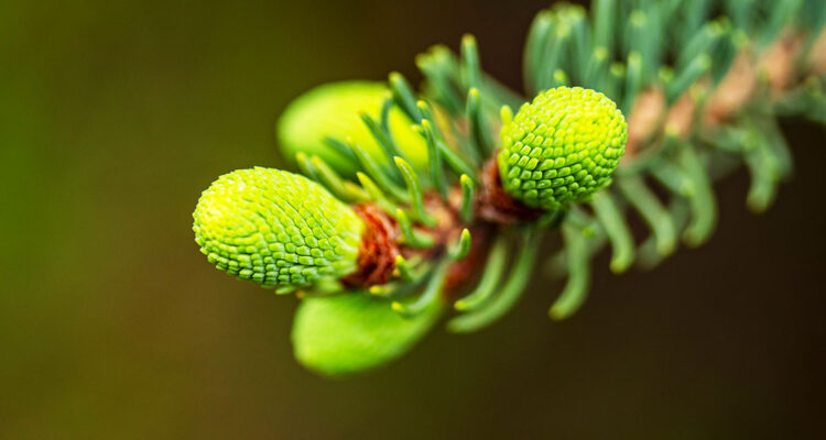 calendrier lunaire du 18 juin