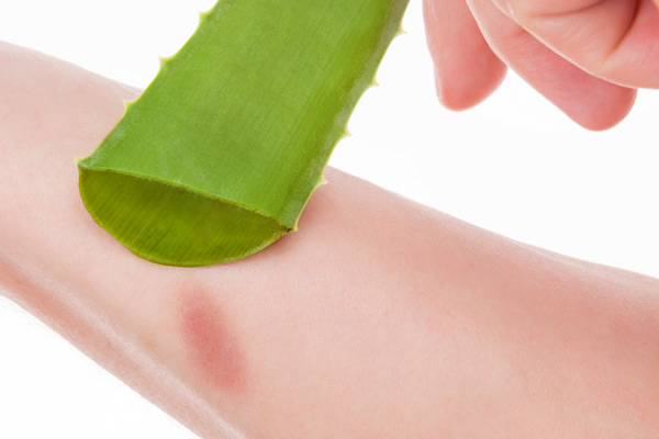 iStock-aloe-vera-804286868-600px-eskymaks box aloe vera