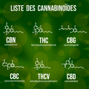kit cbd