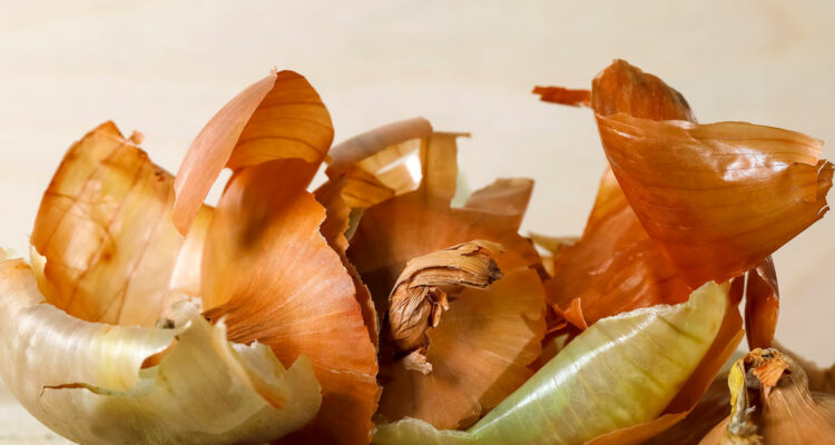 Épluchures d'oignon