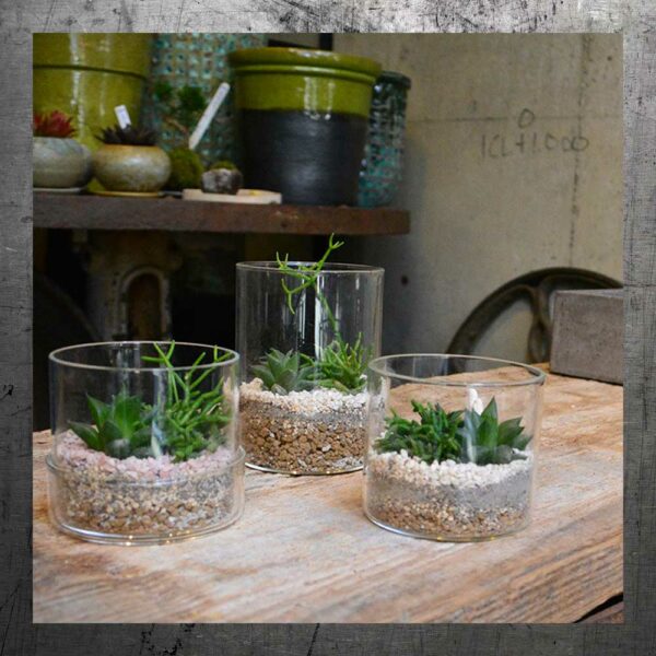 mini-terrarium-rond4-pots mini-terrarium-rond4-pots