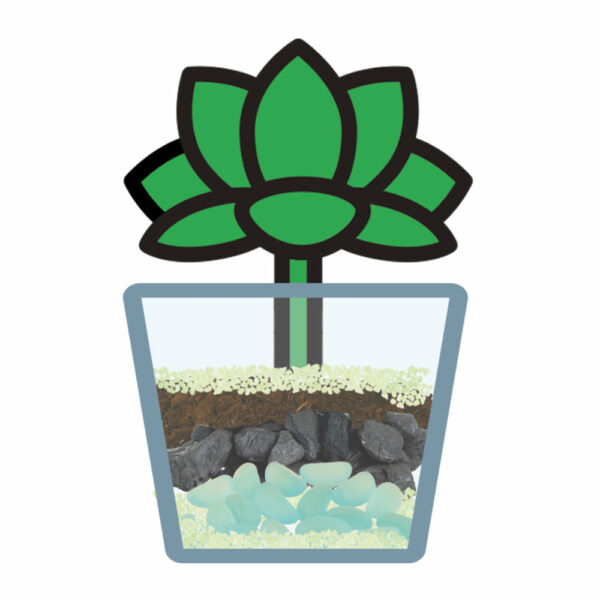 montage-terrarium montage-terrarium