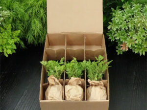 protection-godet Promesse de fleurs tout carton