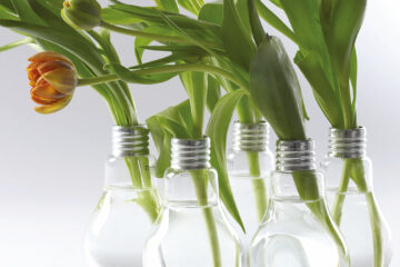 Vase ampoule