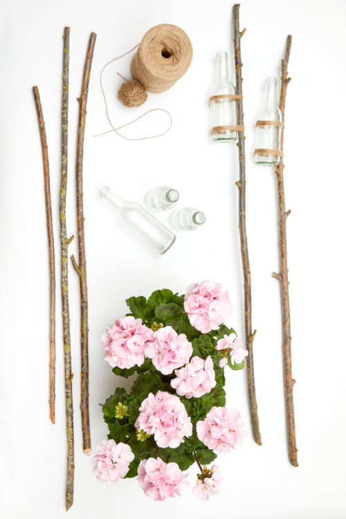 2022_Geraniums_2030_DIY_Garden_Stake_Bottle_Vase_01.jpg-Edit DIY géranium des balcons