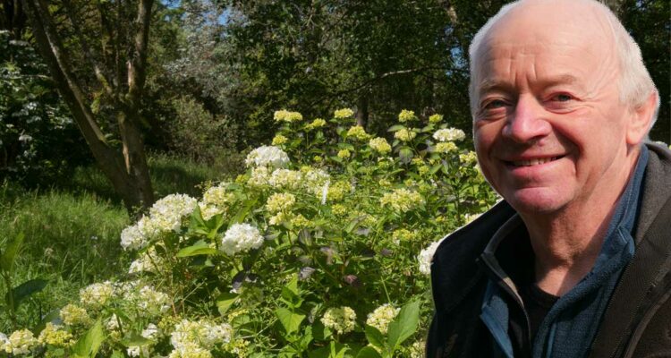 andré diéval M. Hortensia français