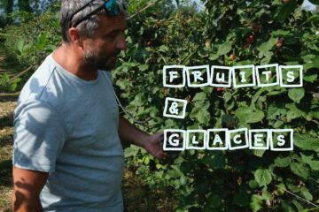 fruits et glaces